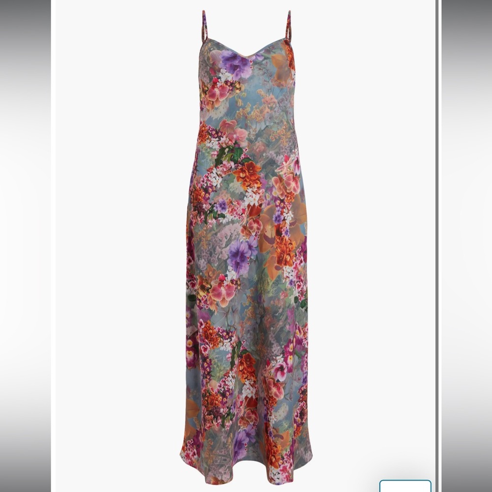 ALL SAINTS Bryony Lucia Floral Print Slipdress US 10